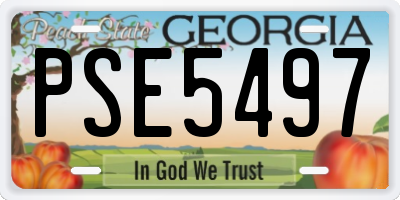 GA license plate PSE5497