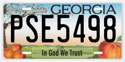GA license plate PSE5498