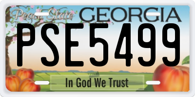 GA license plate PSE5499