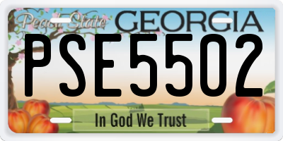 GA license plate PSE5502
