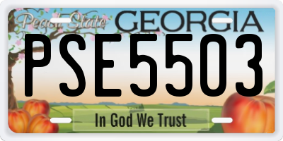 GA license plate PSE5503