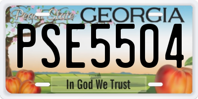 GA license plate PSE5504