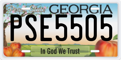 GA license plate PSE5505
