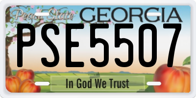GA license plate PSE5507