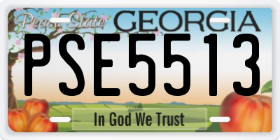 GA license plate PSE5513
