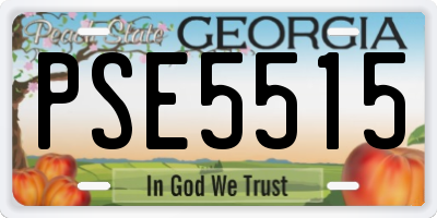 GA license plate PSE5515