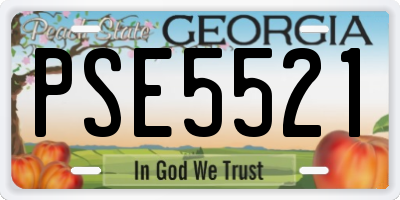 GA license plate PSE5521