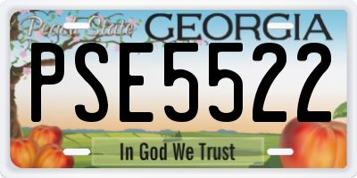 GA license plate PSE5522
