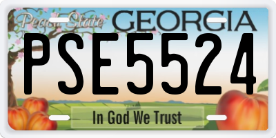 GA license plate PSE5524