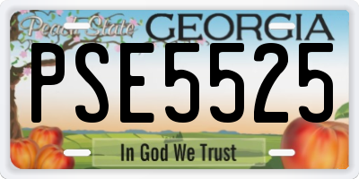 GA license plate PSE5525