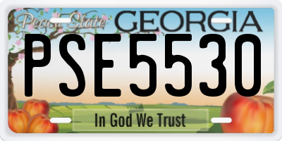 GA license plate PSE5530