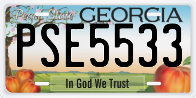 GA license plate PSE5533