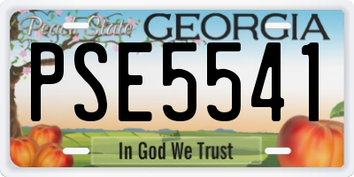 GA license plate PSE5541