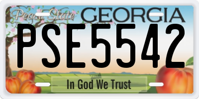 GA license plate PSE5542