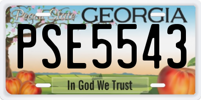 GA license plate PSE5543