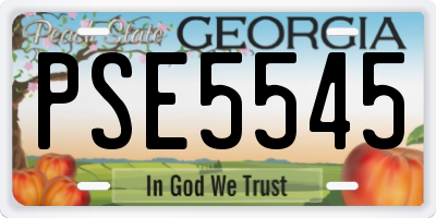 GA license plate PSE5545
