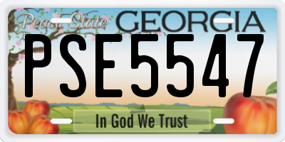 GA license plate PSE5547