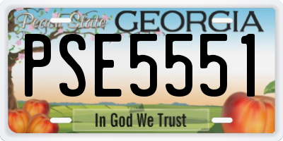 GA license plate PSE5551