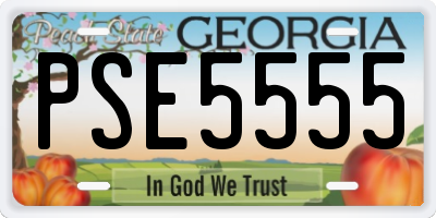 GA license plate PSE5555