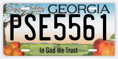 GA license plate PSE5561