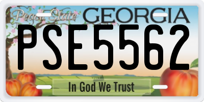 GA license plate PSE5562
