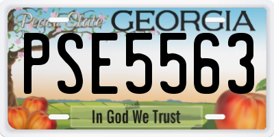 GA license plate PSE5563