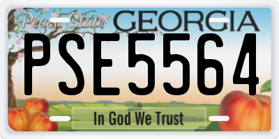 GA license plate PSE5564