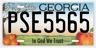 GA license plate PSE5565