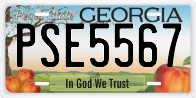 GA license plate PSE5567