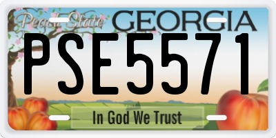 GA license plate PSE5571