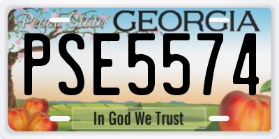 GA license plate PSE5574