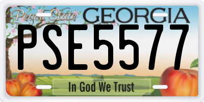 GA license plate PSE5577