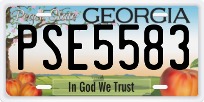 GA license plate PSE5583
