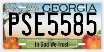 GA license plate PSE5585