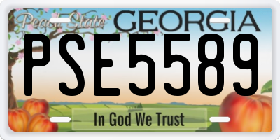 GA license plate PSE5589