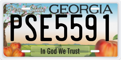 GA license plate PSE5591