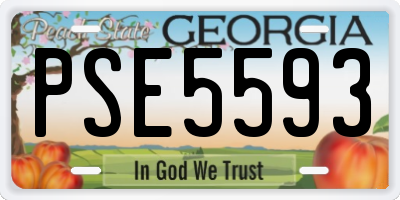 GA license plate PSE5593
