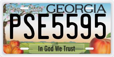 GA license plate PSE5595