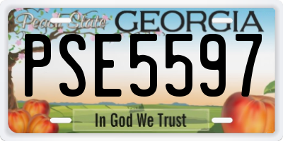 GA license plate PSE5597