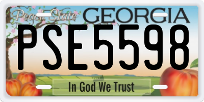 GA license plate PSE5598