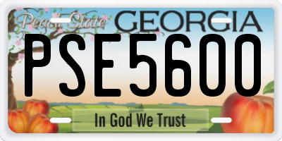 GA license plate PSE5600