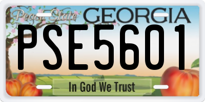 GA license plate PSE5601