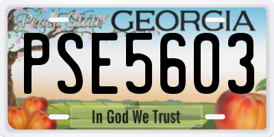 GA license plate PSE5603