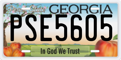 GA license plate PSE5605