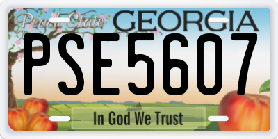 GA license plate PSE5607
