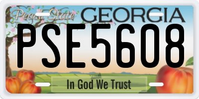 GA license plate PSE5608