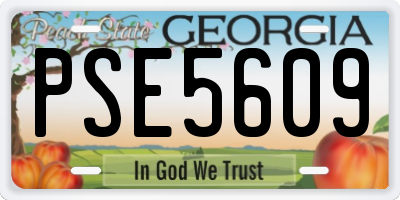 GA license plate PSE5609