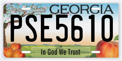 GA license plate PSE5610