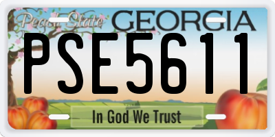 GA license plate PSE5611