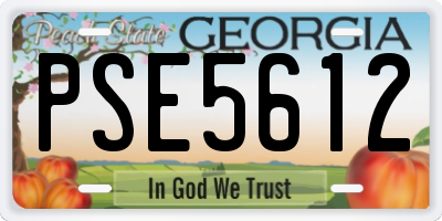 GA license plate PSE5612